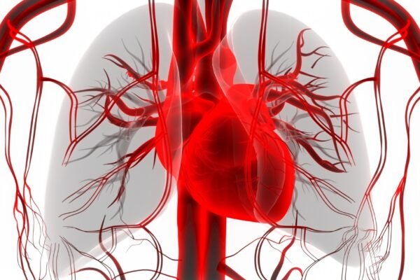Study: Association of life’s essential 8 score with incidence of atrial fibrillation: The Framingham heart study. Image Credit:Magic mine/ Shutterstock