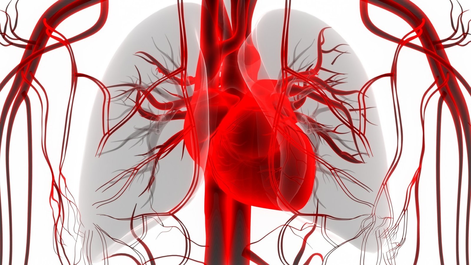 Study: Association of life’s essential 8 score with incidence of atrial fibrillation: The Framingham heart study. Image Credit:Magic mine/ Shutterstock