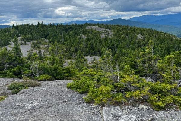 There’s a hot rock blob under New Hampshire. It could be why the Appalachian Mountains are standing tall